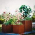 DIY Planter
