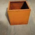Plant Flower Pot Home Decor