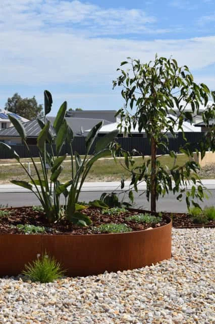 Metal Garden Tree Rings suppliers